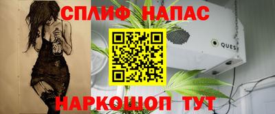 крисы Конаково